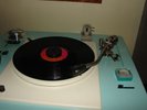 The Mutual Understanding LP In Wonderland Pokora Psych