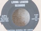 Florida Garage 45-The Evil-Whatcha Gonna Do-ORIG LABEL