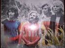 TAMAM SHUD    EVOLUTION