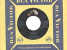 LISTEN - Rare Novelty / Teen 45 - Tony Shepperd - Zach
