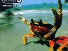 Prodigy - Fat of the Land