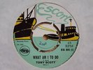 TONY SCOTT 