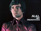 MAL DEI PRIMITIVES RARO LP 33 GIRI DI STAMPA ITALIANA