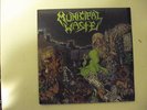 MUNICIPAL WASTE CRUCIAL UNIT SPLIT LP THRASH METAL OOP