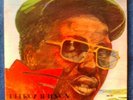Delroy Wilson - 20 Golden Hits - (2LPs) - Third World