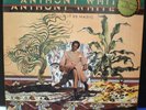Anthony White Could It Be Magic LP SEALED  Modern Soul