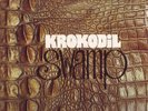 KROKODIL Swamp German Liberty orig psych Krautrock prog