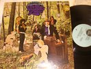 LITTLE BOY BLUES WOODLAND OF WEIR 70'S PSYCH LP FONTANA