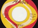 GARAGE 45 RPM - THE WHAT-NOTS on AMBER RECORDS