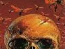 Thunderdome VI - From Hell To Earth (MC2)RAREWANTED