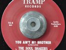 Soul Funk 45 - Soul Shakers - You Ain't My Brother HEAR