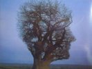 Rare Pink Floyd vinyl lp Brave New World