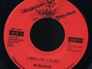 2 Breath 2 Echo Rubadub Japan RARE roots 45 Listen