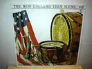 NEW ENGLAND TEEN SCENE Vol. 2  LP   Cobras / Remains