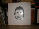 STEINWAYS Gorilla Marketing TEST PRESSING LP punk Ergs