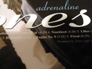 Deftones Adrenaline picture disc vinyl