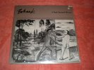 Vincent Gallo 1st album “BOHACK” It Took Several Wives