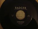 Rare Rockabilly 45rpm  KEN DAVIS Badger #250 Wisconsin