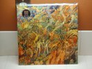  (CHK CHK CHK) - MYTH TAKES 2LP 2007 LCD SOUNDSYSTEM