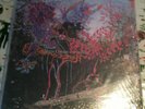 PANDA BEAR - HERE COMES THE INDIAN - LP