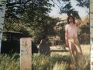 ARIEL PINK'S HAUNTED GRAFFITI 2 - LP