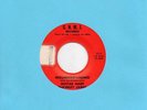 McKINLEY JAMES misunderstanding G.H.M.J. rare blues 45