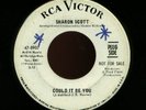 SHARON SCOTT-RCA 8907-COULD IT BE YOU-NORTHERN SOUL