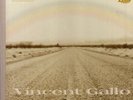 VINCENT GALLO WHEN HARDBOUND COVER NM LP