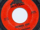 Shindigs THUNDER REEF Bobby Fuller SURF 45 Mustang mp3