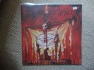 Desaster Hellfire's Dominion LP Schallplatte Hellfires