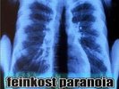 FEINKOST PARANOIA : DORN IM DRITTEN AUGE : KLASSIKER