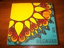 CLEAR LIGHT BECAUSE I AM 2LP PRIVATE XIAN PSYCH FUNK
