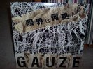 GAUZE 3RD LP Japan Metal Genkai Wa Doko Da GISM NM/NM