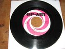 THE LUV-LITES - BORN IN CHICAGO - OP-ART - FUZZ