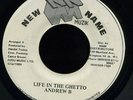 Andrew B Life In the Ghetto JA New Name 45 Listen