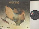 RARE BIRD - SELF TITLED - ROCK LP