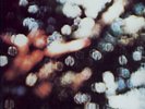 Pink Floyd Obscured By Clouds  Sealed  LP U.S. Orig.