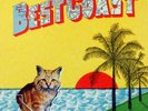 Best Coast - Crazy For You Limited Colored Vinyl Sealed