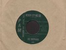 Rare 60's Chicago Soul 45 - THE SHEPPARDS (Pam)
