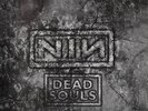 Nine Inch Nails Dead Souls LP Rare Import NIN