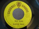 ELATION FIELDS MICHIGAN GARAGE 45 COCONUT GROOVE 2035
