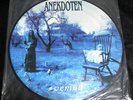 ANEKDOTEN-VEMOD PICTURE DISC/SWEDISH PROG anglagard