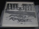 FATAL RAGE-s/t-LP mutha public disturbance chronic sick