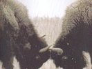 U2 - THE BEST OF 1990 - 2000 - DOUBLE VINYL : EX