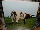 PINK FLOYD ATOM HEART MOTHER 1st UK PRESS TOP ITEM
