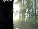 Burzum - Belus WHITE sealed LP   mayhem