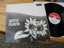 WHITE PLAINS SAME LP IN 1970 MINT  PROMO