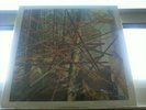 IMAGINARY SOFTWOODS 2X LP emeralds wolf eyes /105 