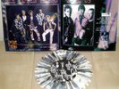 Toten Hosen - If the Kids are United Splitt mit Sham 69