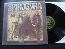 SPIROGYRA      SAME      GREEN BRAIN  1005